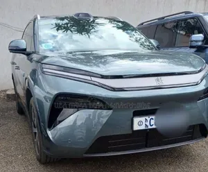 New BYD Tang DM-i 2025 Green