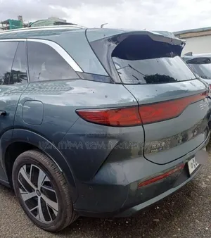 New BYD Tang DM-i 2025 Green