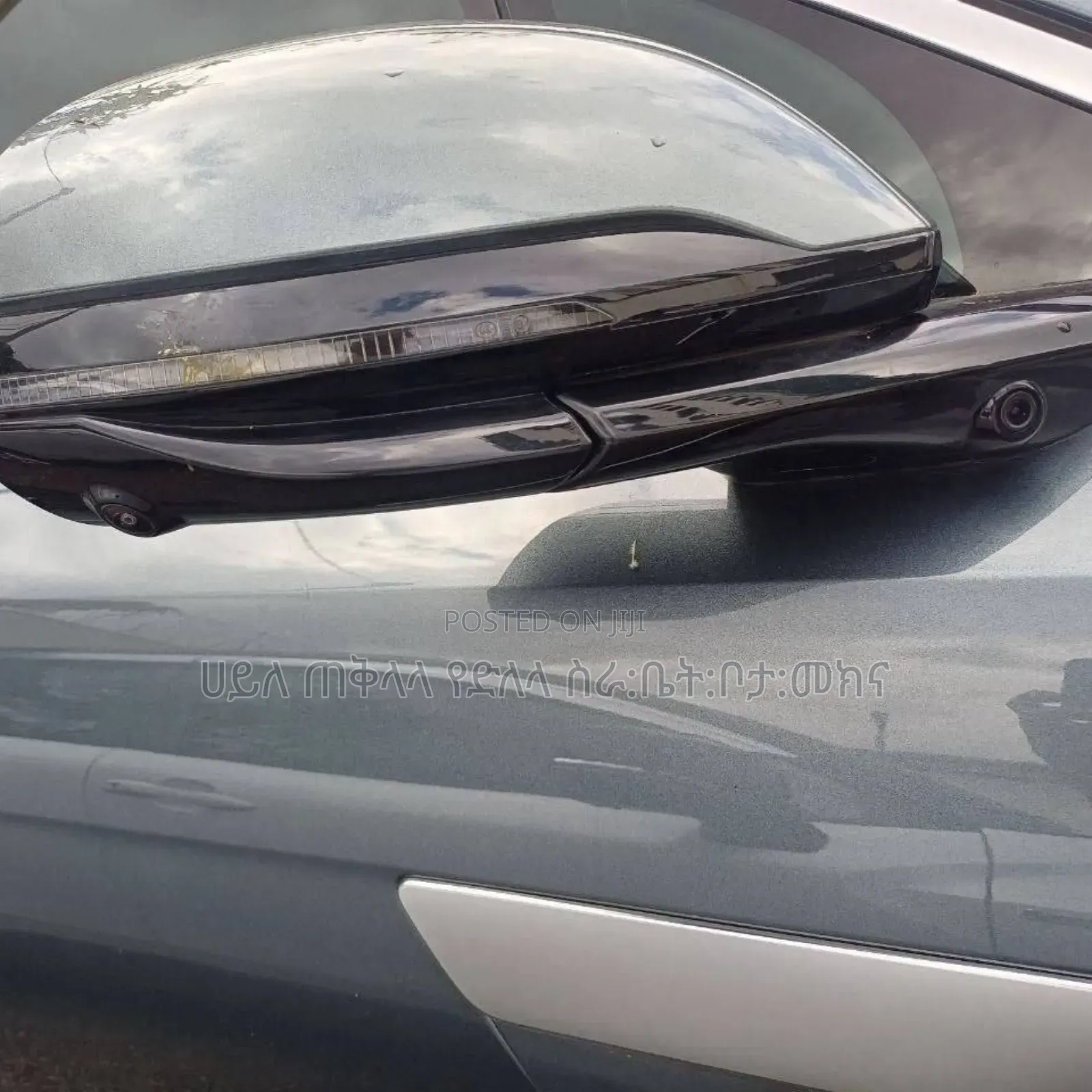 New BYD Tang DM-i 2025 Green