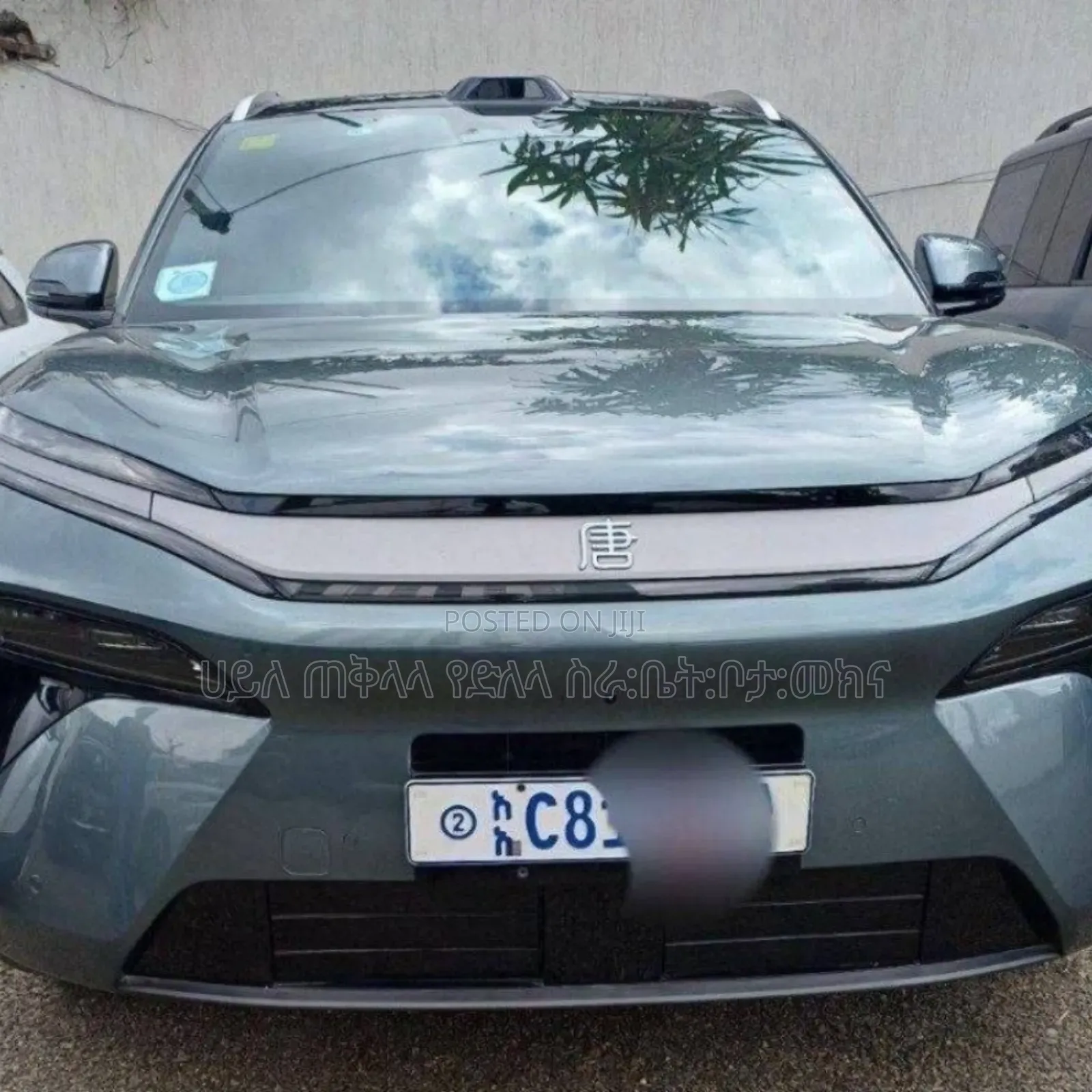 New BYD Tang DM-i 2025 Green