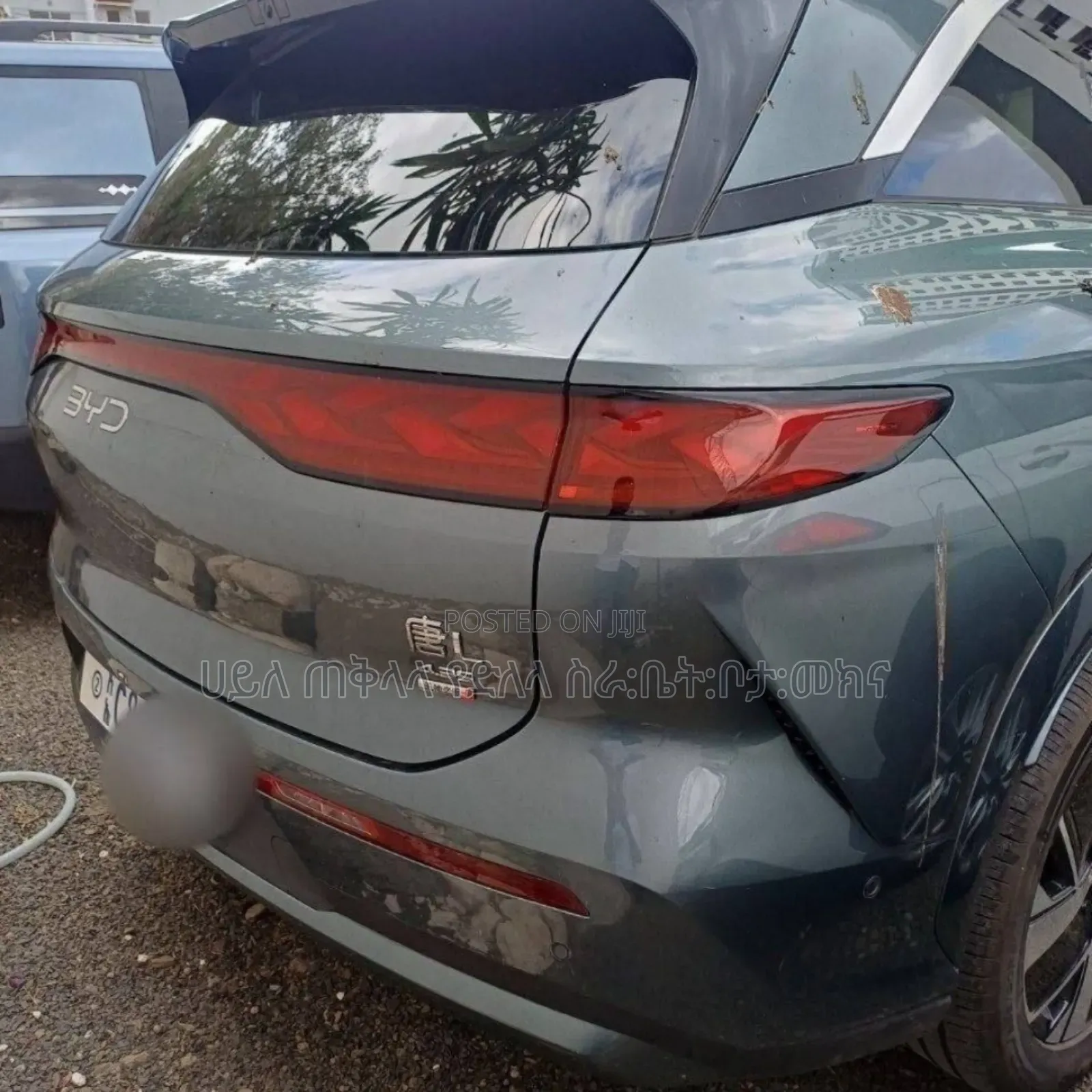New BYD Tang DM-i 2025 Green
