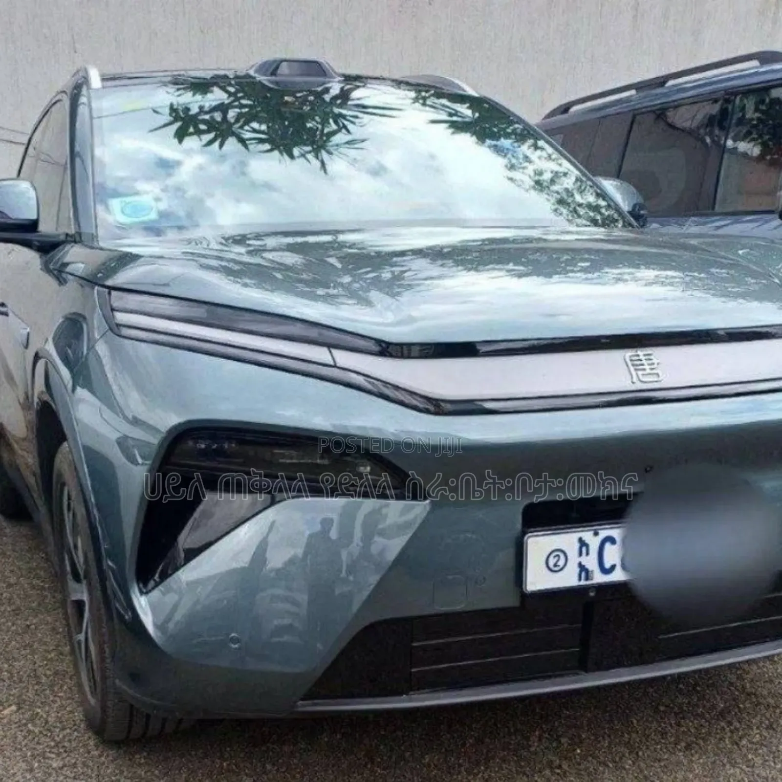 New BYD Tang DM-i 2025 Green