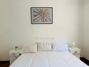 Furnished 3bdrm Apartment in Bole for rent