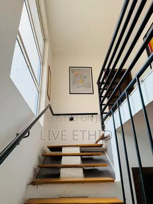Furnished 3bdrm Apartment in Bole for rent