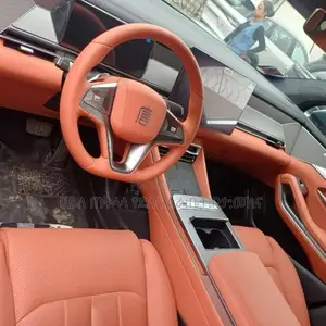 New BYD Tang DM-i 2025 Green