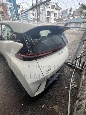 New BYD Seagull 2025 White