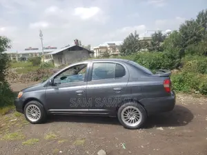 Toyota Platz 2001 Gray