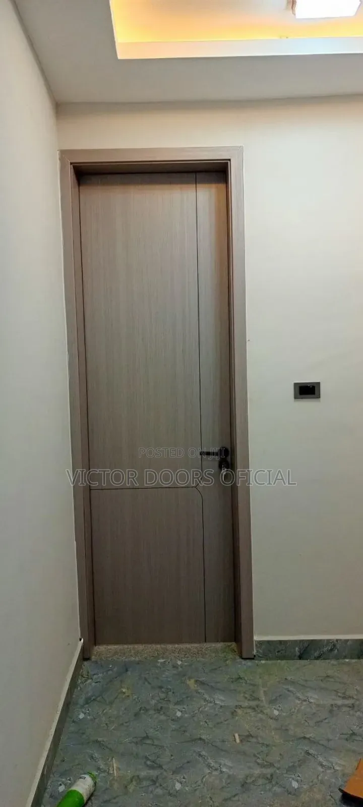 Carbon Fiber Doors
