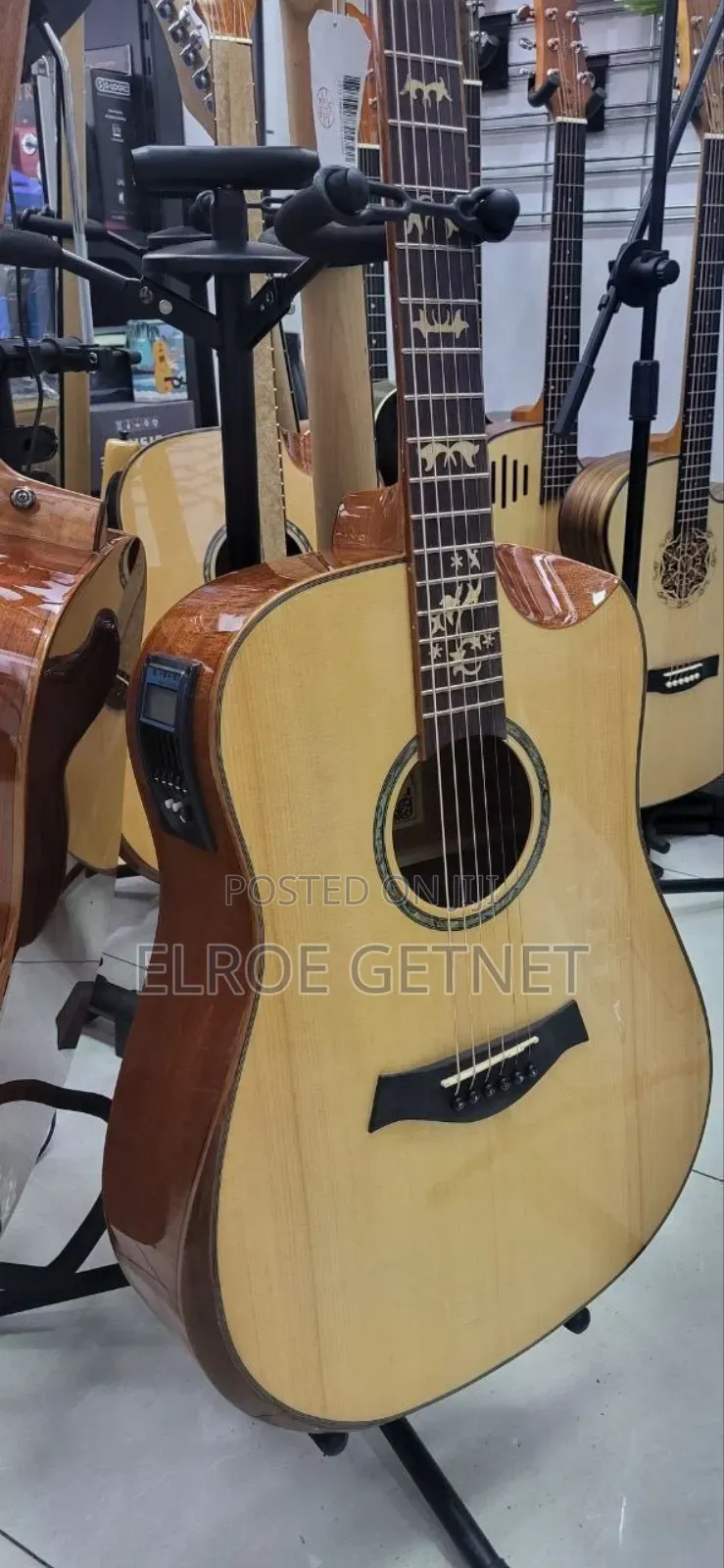 Acoustic Guitar