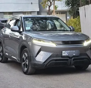 BYD Yuan Up 2024
