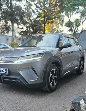 BYD Yuan Up 2024