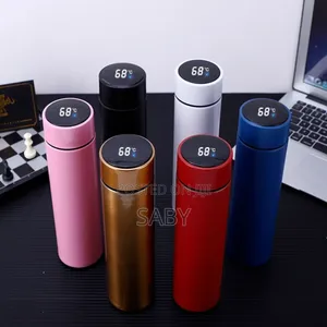 Stainless Steel Temperature Display Control Water Bottles