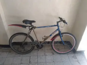 Cycle Bicycle