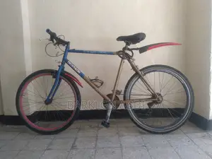 Cycle Bicycle