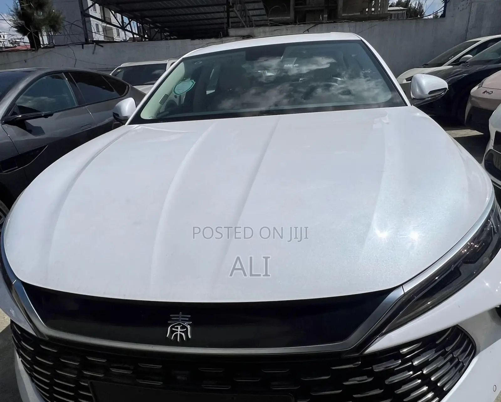 New BYD Qin L DM-i 2025 White