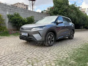 BYD Yuan Up 2024
