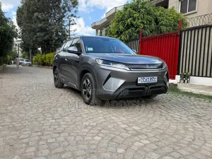 BYD Yuan Up 2024