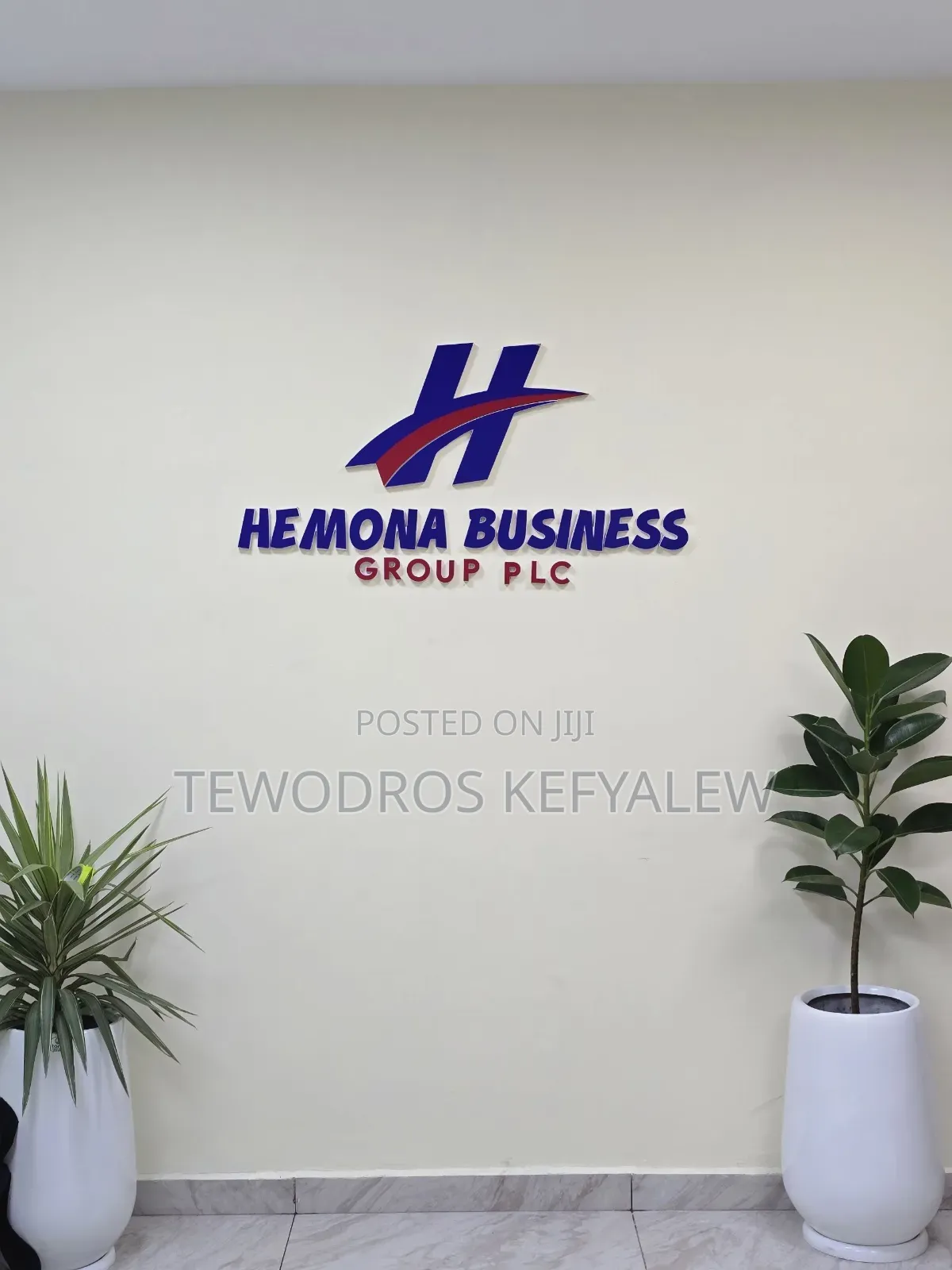 3d Wall Logo