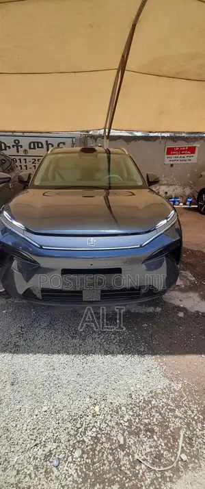 New BYD Tang DM-i 2025 Gray