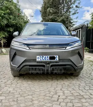 BYD Yuan Up 2024 Gray