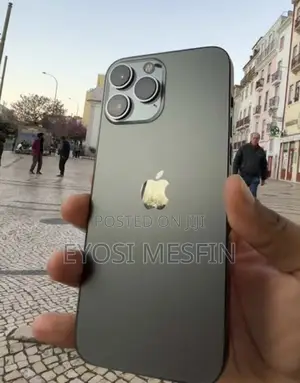 Apple iPhone 13 Pro Max 128 GB Gray