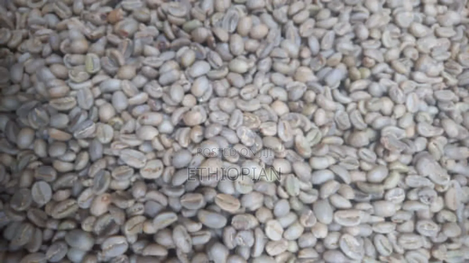 Ethiopian Coffee