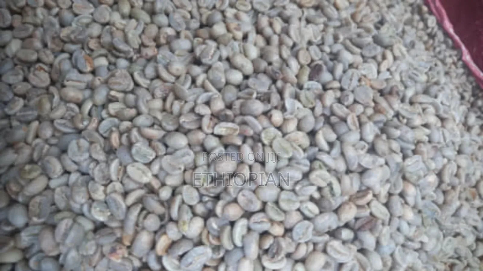 Ethiopian Coffee