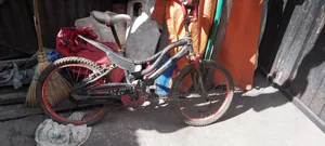 Bicycle Rally BMX Bike 7-14 Years Old