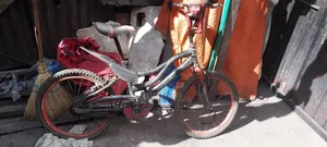 Bicycle Rally BMX Bike 7-14 Years Old