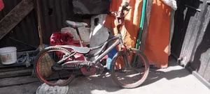 Bicycle Rally BMX Bike 7-14 Years Old