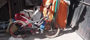 Bicycle Rally BMX Bike 7-14 Years Old
