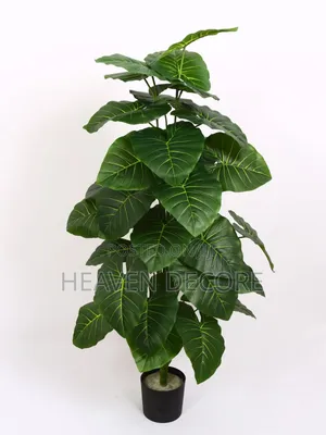 1.20 Artificial Plant አርቴፊሻል ቅጠል