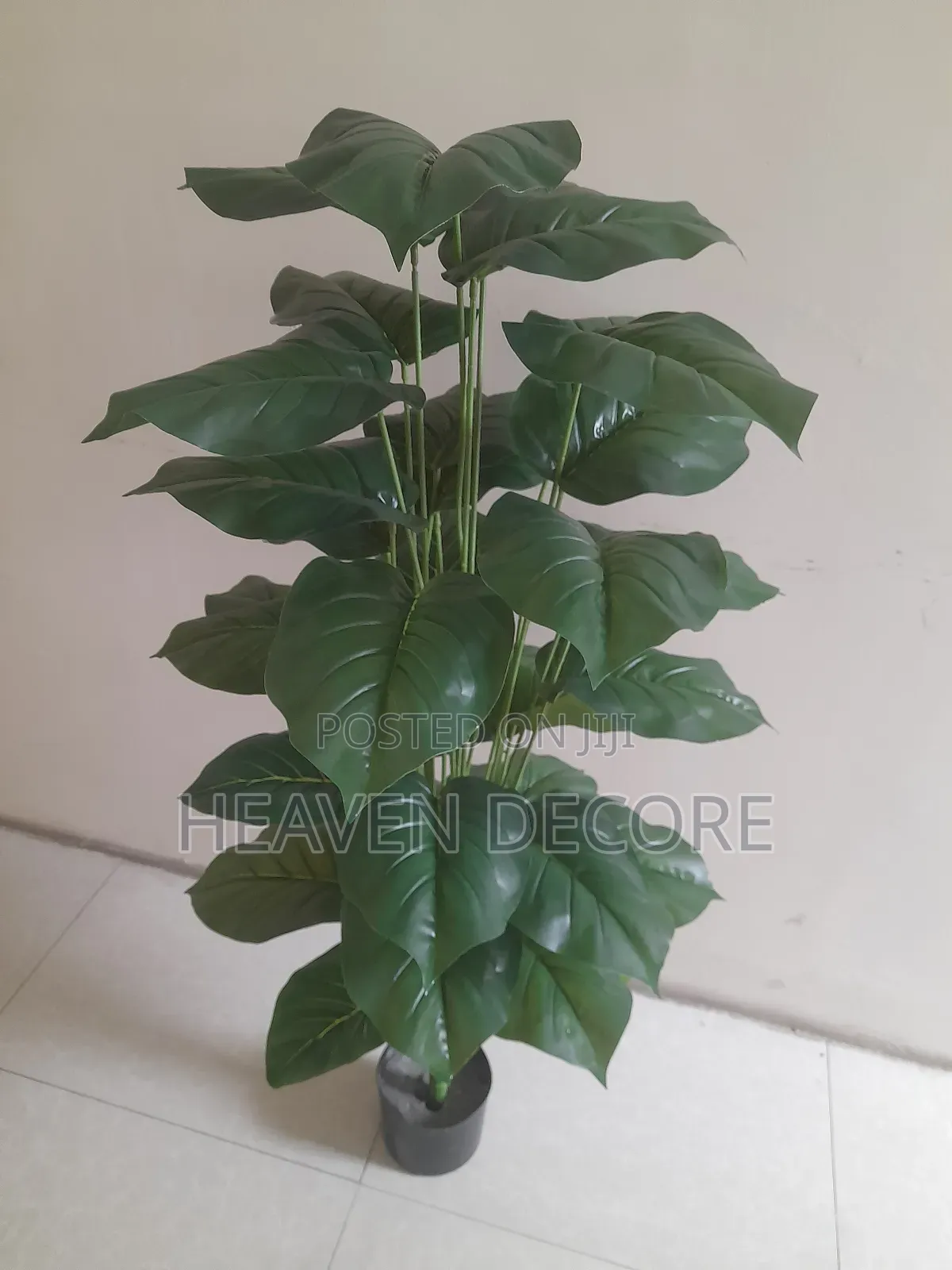 1.20 Artificial Plant አርቴፊሻል ቅጠል