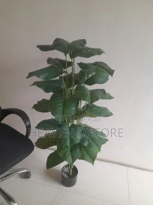1.20 Artificial Plant አርቴፊሻል ቅጠል