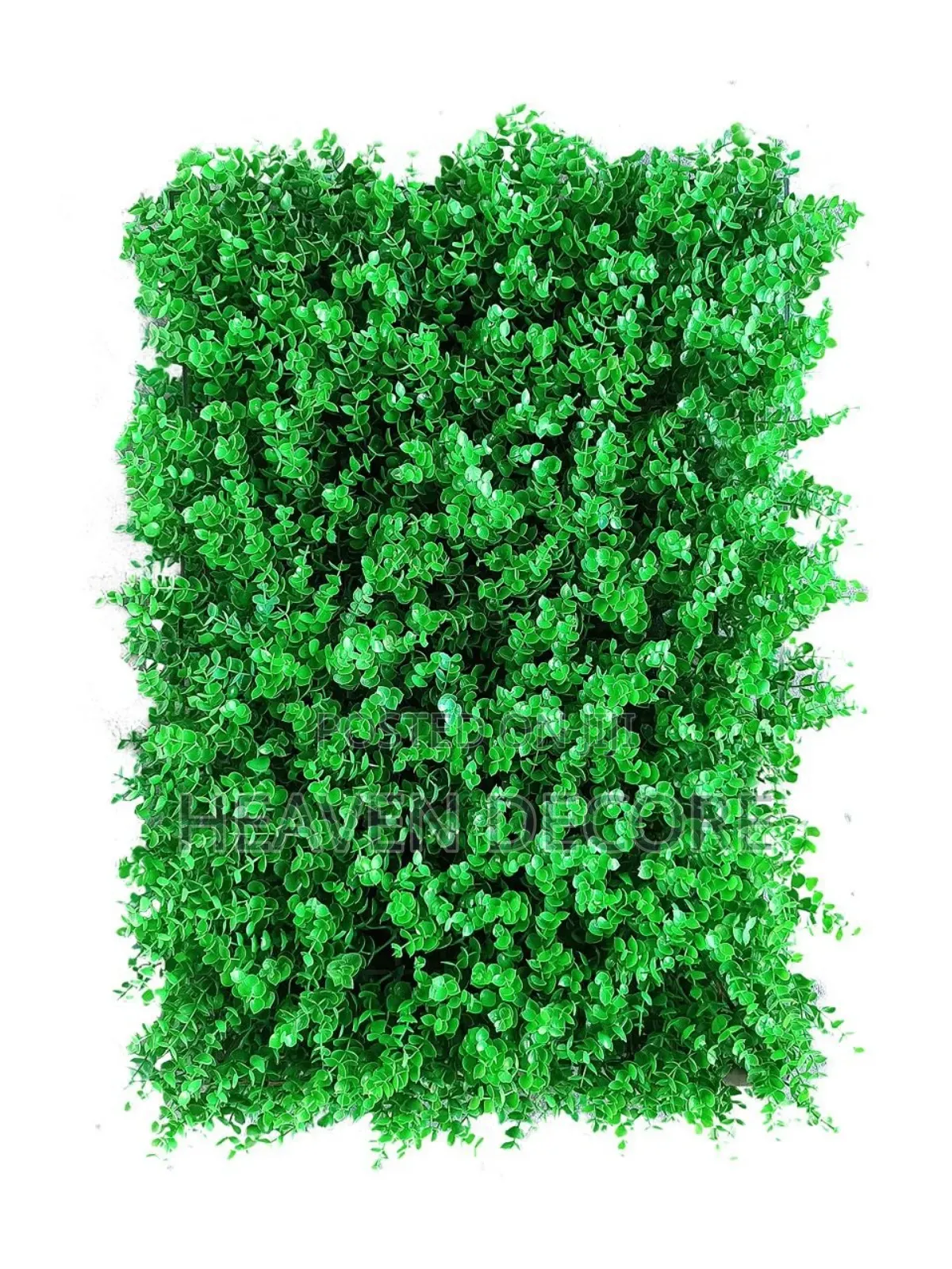የግድግዳ ሳር 60*40 Artificial Grass