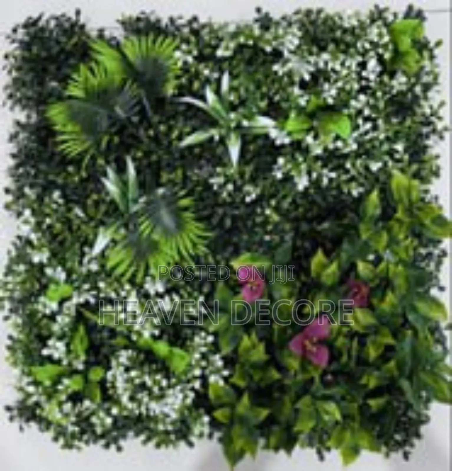 የግድግዳ ሳር 60*40 Artificial Grass