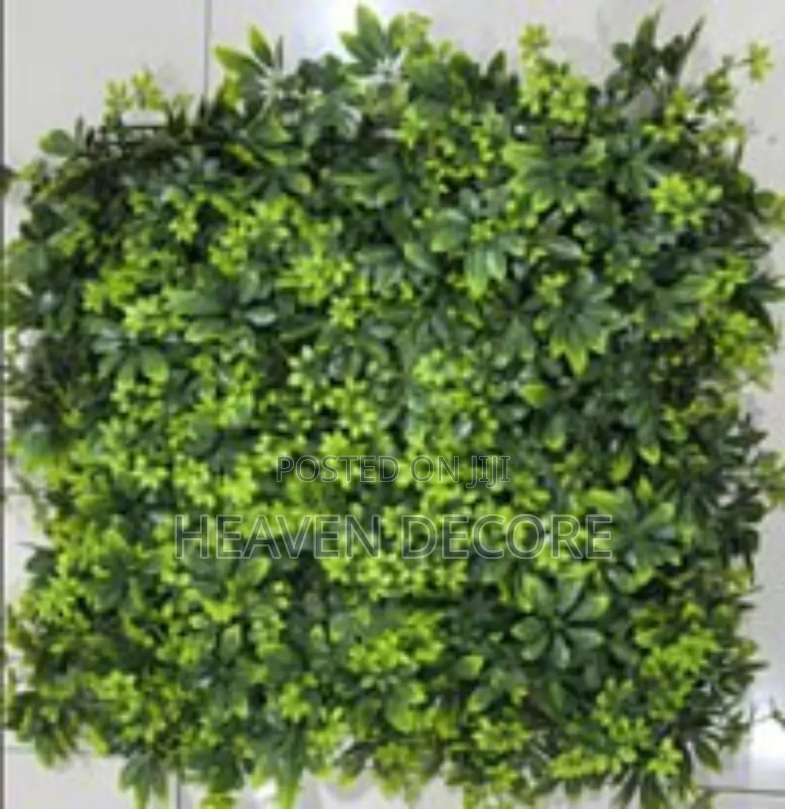 የግድግዳ ሳር 60*40 Artificial Grass