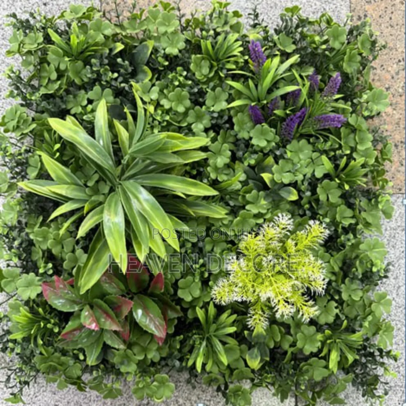 የግድግዳ ሳር 60*40 Artificial Grass