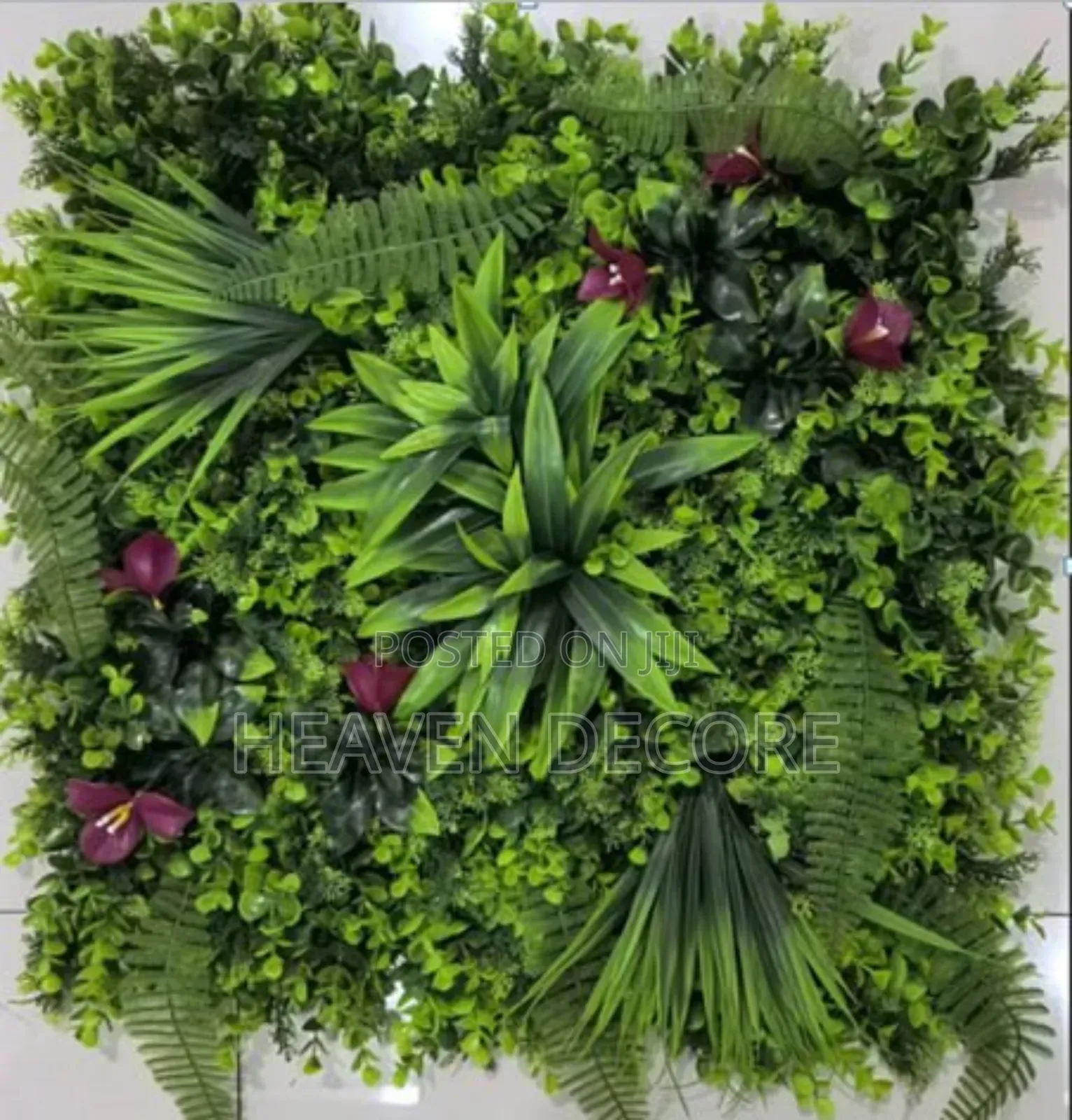 የግድግዳ ሳር 60*40 Artificial Grass