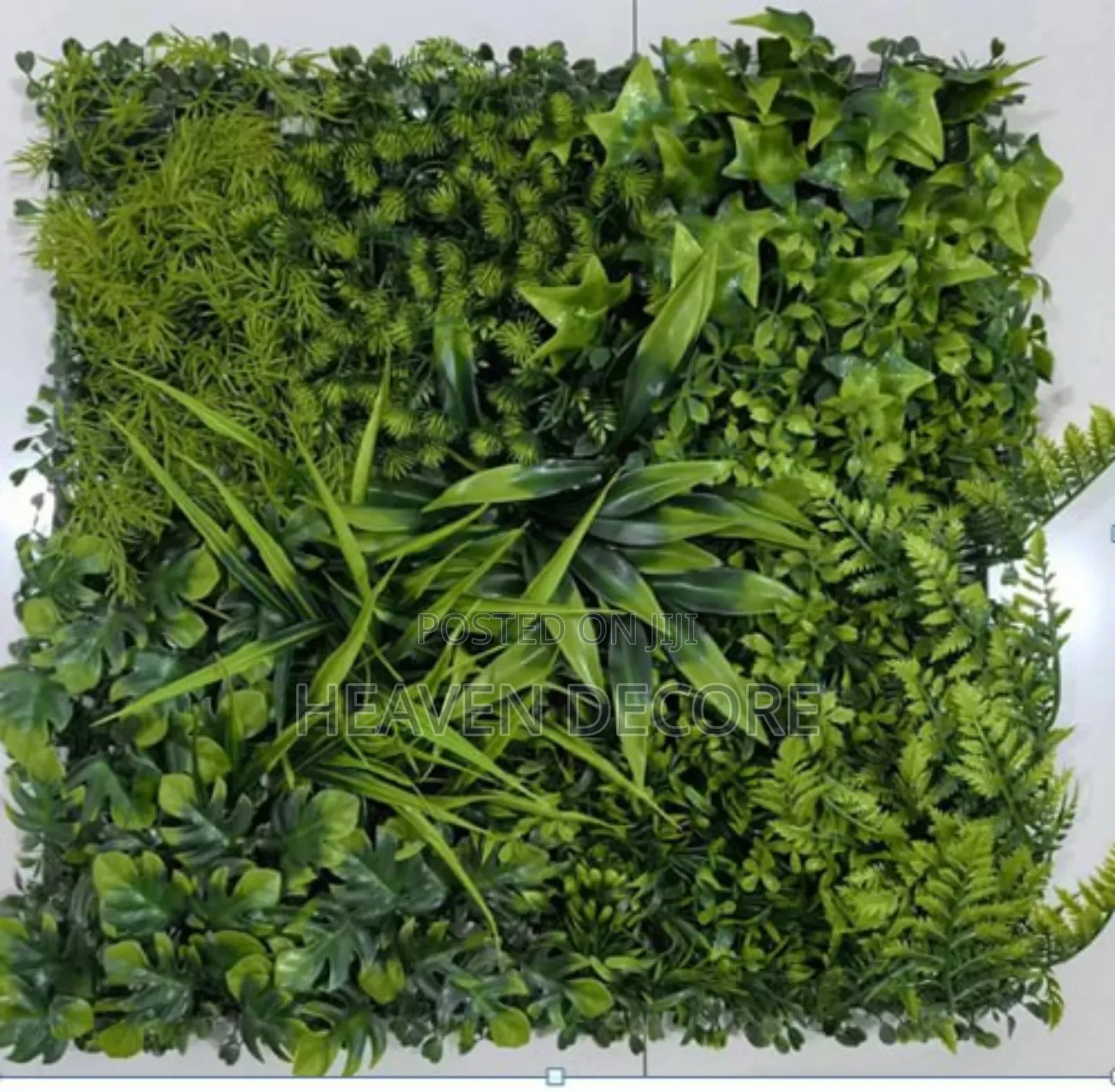 የግድግዳ ሳር 60*40 Artificial Grass