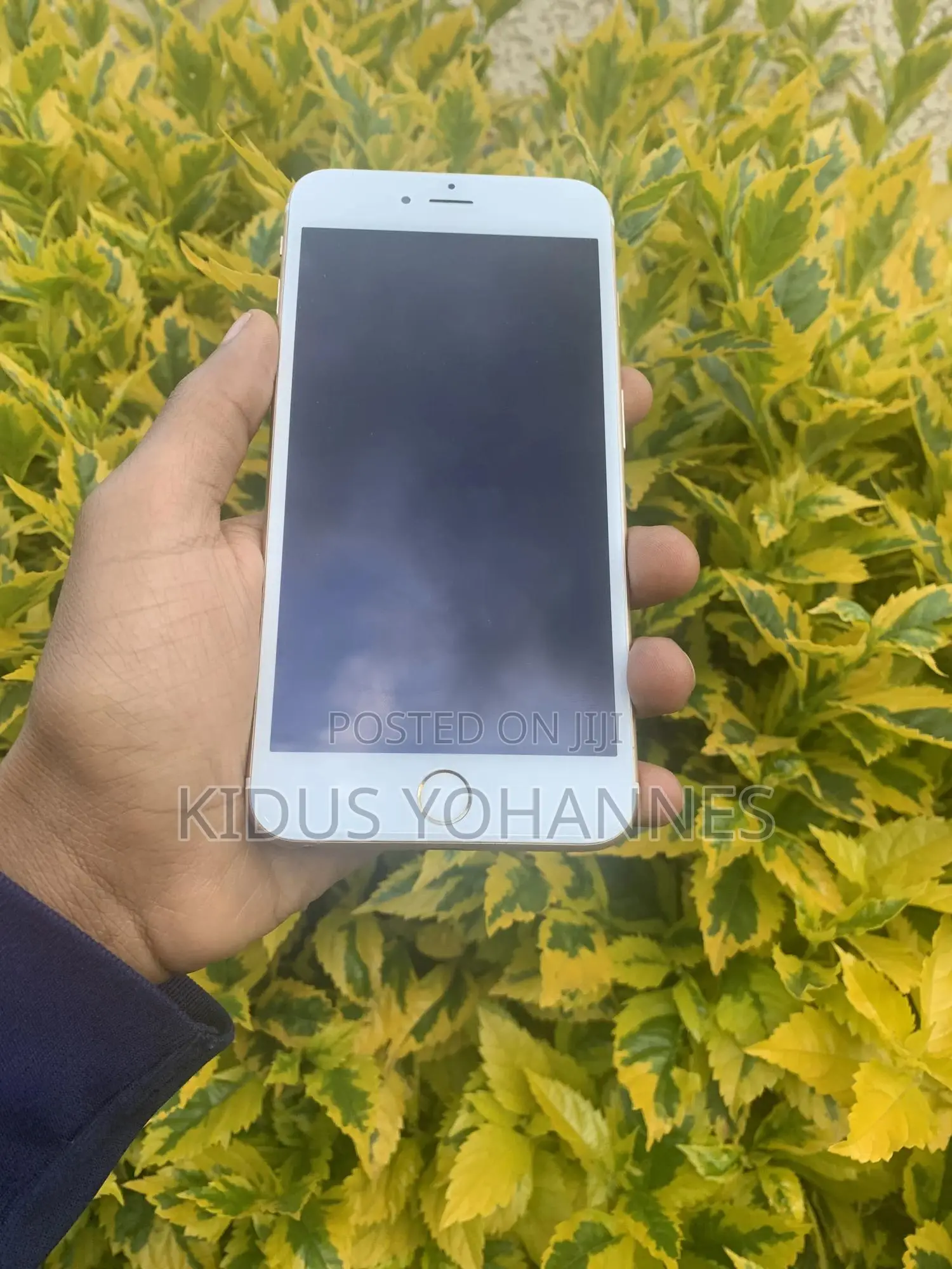 Apple iPhone 6s Plus 32 GB Gold