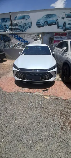 New BYD Qin Plus DM-i 2025 White