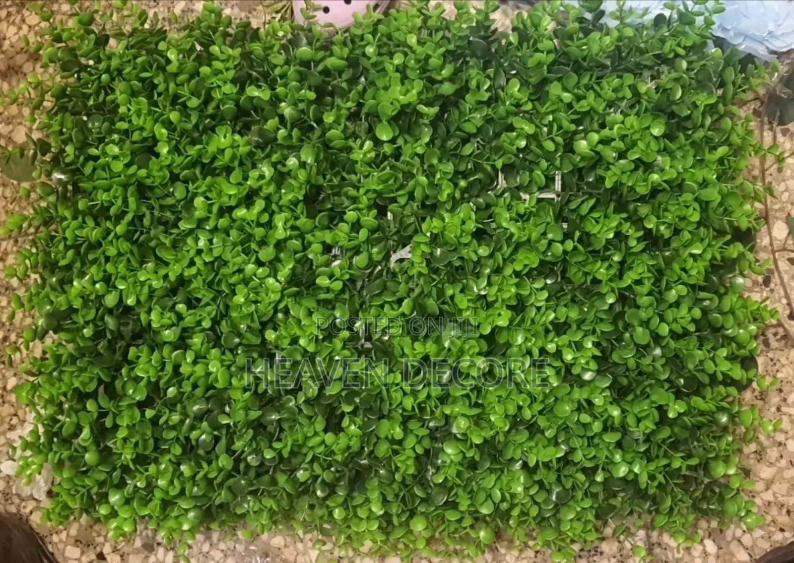 60x40 Greenery