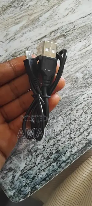 Universal 2-Pin Power Charger High Quality