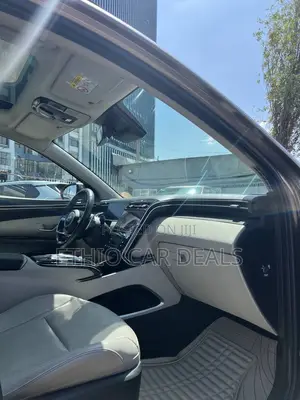 Hyundai Tucson 2021 Brown