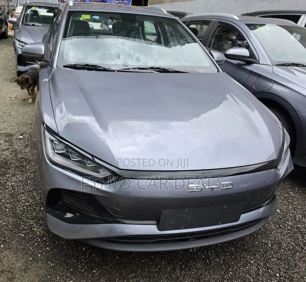New BYD E2 43 kWh 94 hp FWD 2025 Gray