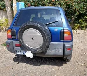 Toyota RAV4 1995 Blue