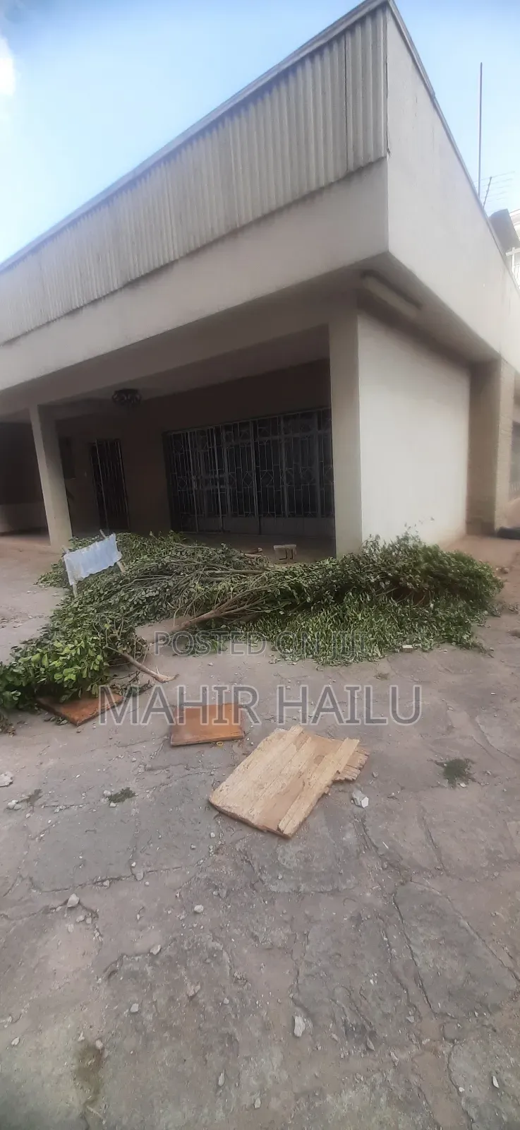 Rent in Bole