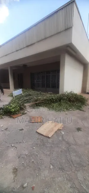 Rent in Bole