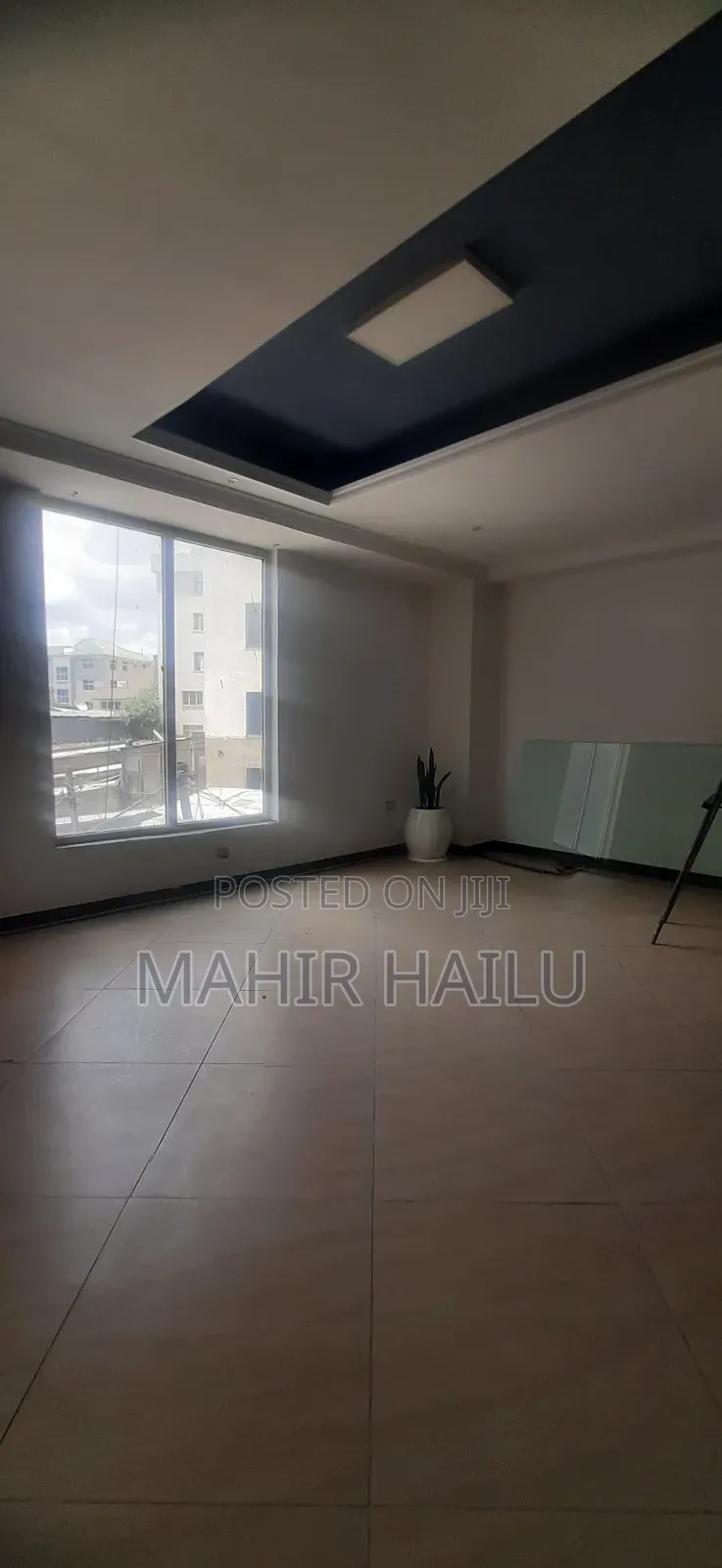 Luxury Office in Bole